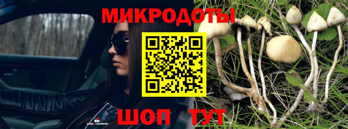 Псилоцибиновые грибы мицелий  Вход с VPN  Будённовск 